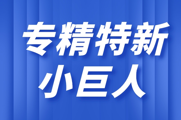 專精特新小巨人企業的主要特征，小巨人企業的重點領域
