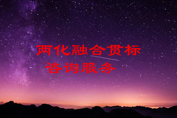 兩化融合貫標咨詢服務人員是做什么的