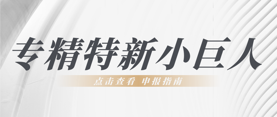 第六批專精特新“小巨人”申報倒計時！企業要如何準備申報工作？