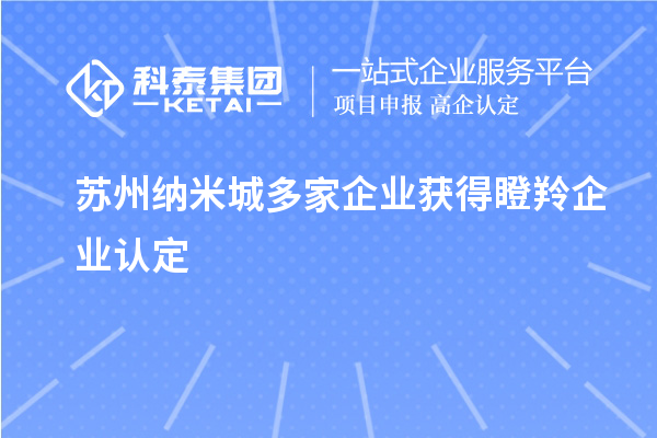 蘇州納米城多家企業(yè)獲得<a href=http://www.tensang.com/fuwu/dengling.html target=_blank class=infotextkey>瞪羚企業(yè)認(rèn)定</a>