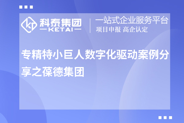 專(zhuān)精特小巨人數(shù)字化驅(qū)動(dòng)案例分享之葆德集團(tuán)