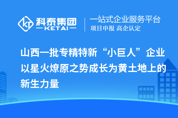 山西一批專(zhuān)精特新“小巨人”企業(yè)以星火燎原之勢(shì)成長(zhǎng)為黃土地上的新生力量
