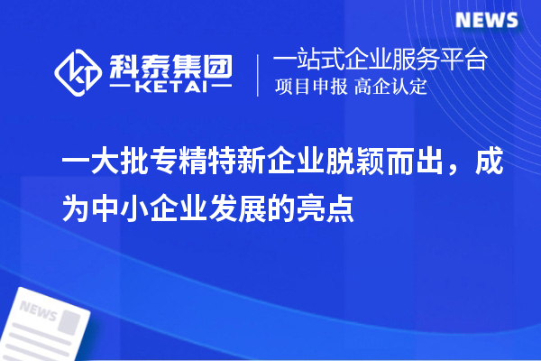一大批專精特新企業脫穎而出，成為中小企業發展的亮點