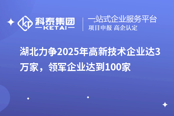 湖北力爭(zhēng)2025年高新技術(shù)企業(yè)達(dá)3萬家，領(lǐng)軍企業(yè)達(dá)到100家