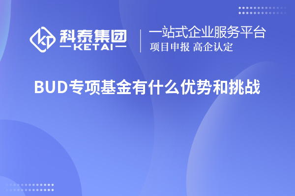BUD專(zhuān)項(xiàng)基金有什么優(yōu)勢(shì)和挑戰(zhàn)