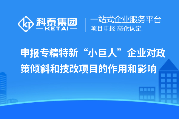 申報專精特新“小巨人”企業對政策傾斜和<a href=http://www.tensang.com/fuwu/jishugaizao.html target=_blank class=infotextkey>技改</a>項目的作用和影響