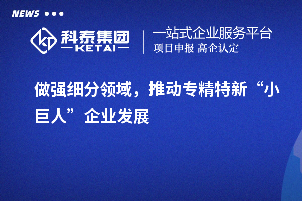 做強細分領域，推動專精特新“小巨人”企業發展