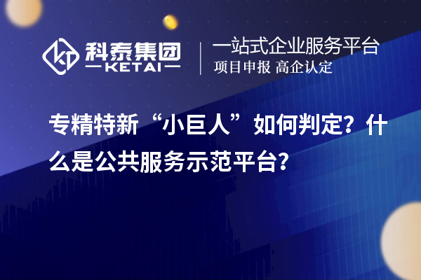 專精特新“小巨人”如何判定？什么是公共服務(wù)示范平臺(tái)？