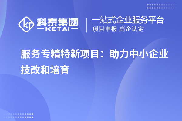 服務(wù)專精特新項目：助力中小企業(yè)<a href=http://www.tensang.com/fuwu/jishugaizao.html target=_blank class=infotextkey>技改</a>和培育