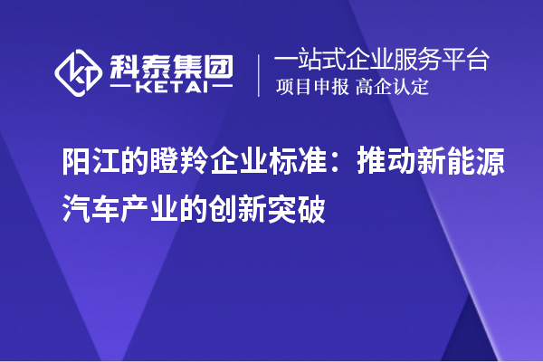 陽(yáng)江的瞪羚企業(yè)標(biāo)準(zhǔn)：推動(dòng)新能源汽車產(chǎn)業(yè)的創(chuàng)新突破