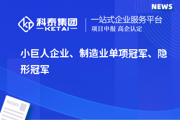 小巨人企業、制造業單項冠軍、隱形冠軍