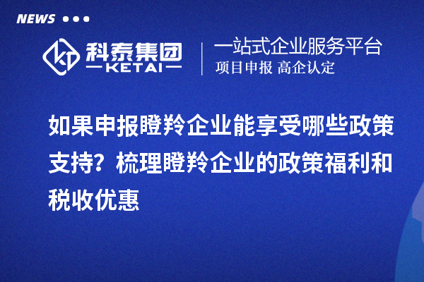 如果申報瞪羚企業(yè)能享受哪些政策支持？梳理瞪羚企業(yè)的政策福利和稅收優(yōu)惠