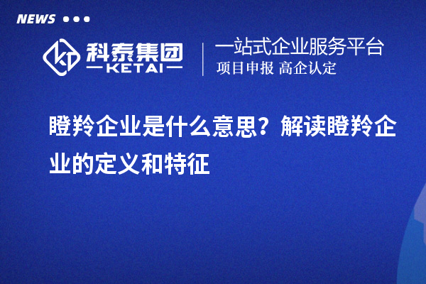 瞪羚企業是什么意思?解讀瞪羚企業的定義和特征