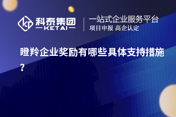 瞪羚企業獎勵有哪些具體支持措施？