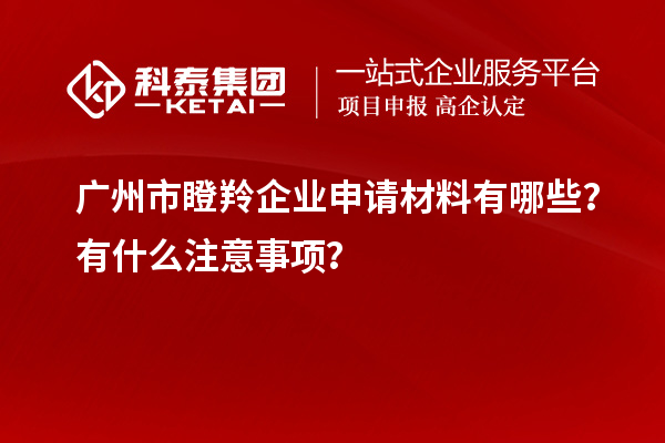 廣州市瞪羚企業(yè)申請(qǐng)材料有哪些？有什么注意事項(xiàng)？
