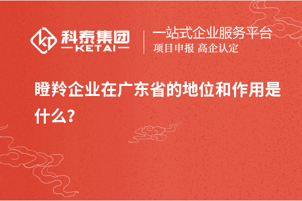 瞪羚企業在廣東省的地位和作用是什么？
