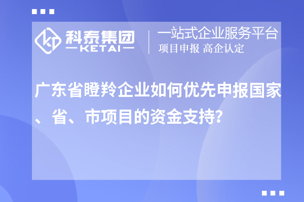 廣東省瞪羚企業(yè)如何優(yōu)先申報國家、省、市項目的資金支持？