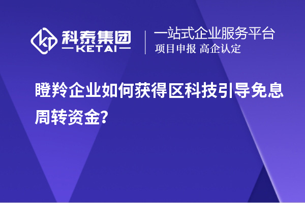 瞪羚企業(yè)如何獲得區(qū)科技引導免息周轉資金？