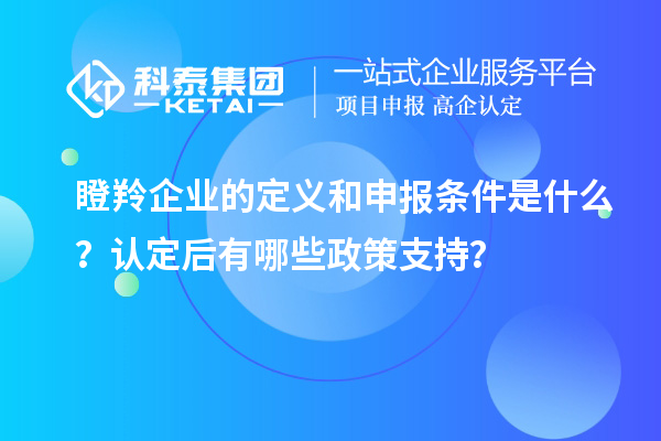 瞪羚企業(yè)的定義和申報條件是什么？認定后有哪些政策支持？