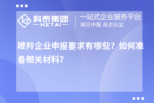 瞪羚企業(yè)申報要求有哪些？如何準備相關材料？