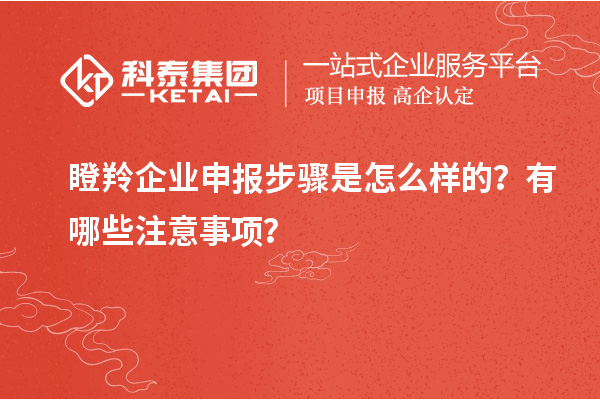 瞪羚企業(yè)申報步驟是怎么樣的？有哪些注意事項？