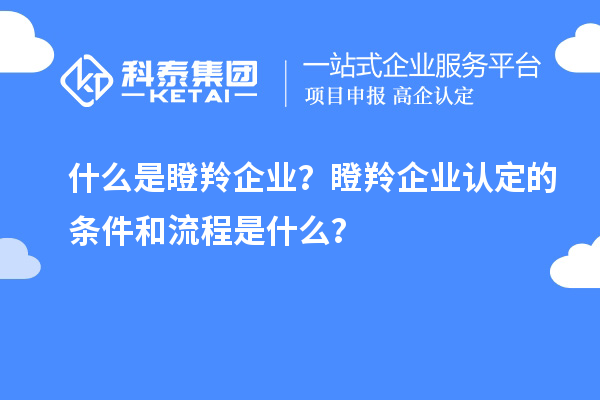 什么是瞪羚企業(yè)？瞪羚企業(yè)認定的條件和流程是什么？