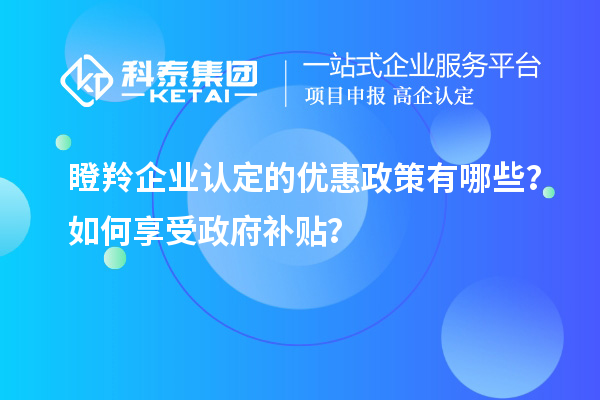 瞪羚企業(yè)認定的優(yōu)惠政策有哪些？如何享受政府補貼？