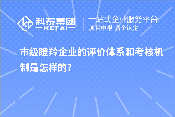 市級瞪羚企業的評價體系和考核機制是怎樣的？
