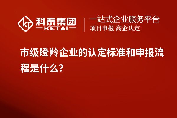 市級瞪羚企業的認定標準和申報流程是什么？