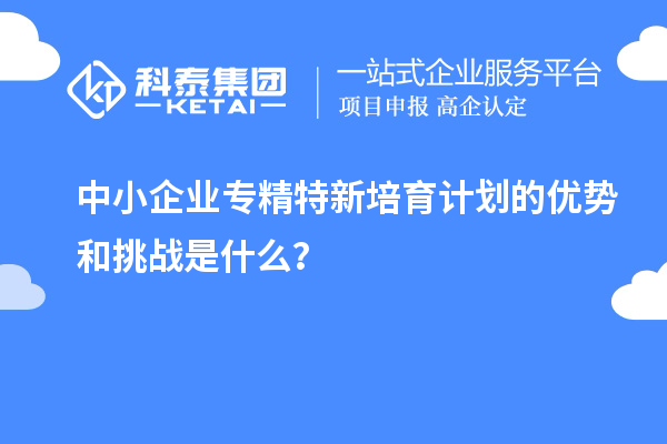 中小企業專精特新培育計劃的優勢和挑戰是什么？