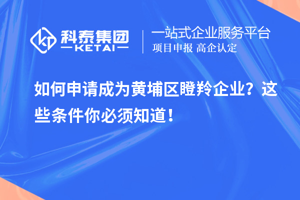 如何申請成為黃埔區瞪羚企業？這些條件你必須知道！