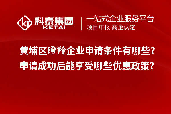 黃埔區瞪羚企業申請條件有哪些？申請成功后能享受哪些優惠政策？