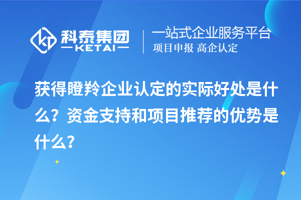 獲得瞪羚企業(yè)認定的實際好處是什么？資金支持和項目推薦的優(yōu)勢是什么？