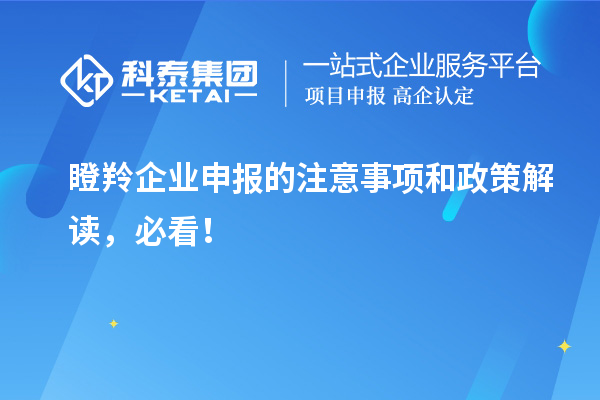 瞪羚企業(yè)申報的注意事項和政策解讀，必看！