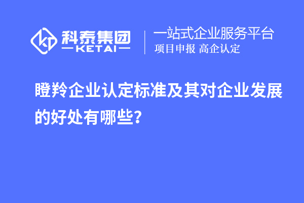 瞪羚企業(yè)認(rèn)定標(biāo)準(zhǔn)及其對企業(yè)發(fā)展的好處有哪些？