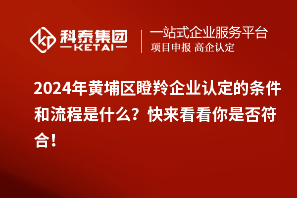2024年黃埔區(qū)瞪羚企業(yè)認(rèn)定的條件和流程是什么？快來看看你是否符合！