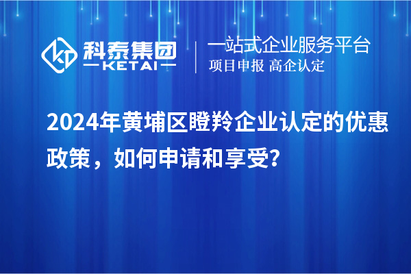 2024年黃埔區(qū)瞪羚企業(yè)認(rèn)定的優(yōu)惠政策，如何申請和享受？