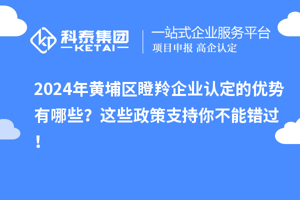 2024年黃埔區(qū)瞪羚企業(yè)認(rèn)定的優(yōu)勢有哪些？這些政策支持你不能錯過！