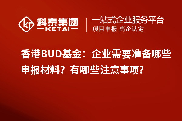 香港BUD基金：企業需要準備哪些申報材料？有哪些注意事項？