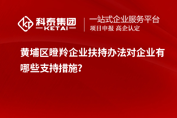 黃埔區瞪羚企業扶持辦法對企業有哪些支持措施？