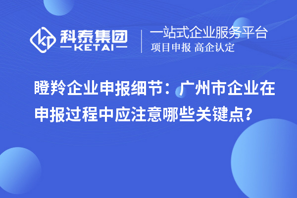瞪羚企業(yè)申報(bào)細(xì)節(jié)：廣州市企業(yè)在申報(bào)過程中應(yīng)注意哪些關(guān)鍵點(diǎn)？