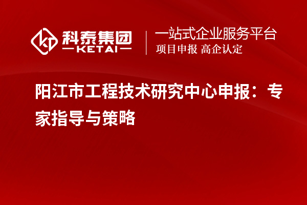 陽(yáng)江市<a href=http://www.tensang.com/fuwu/gongchengzhongxin.html target=_blank class=infotextkey>工程技術(shù)研究中心申報(bào)</a>：專(zhuān)家指導(dǎo)與策略