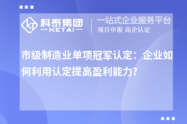 市級(jí)制造業(yè)單項(xiàng)冠軍認(rèn)定：企業(yè)如何利用認(rèn)定提高盈利能力？