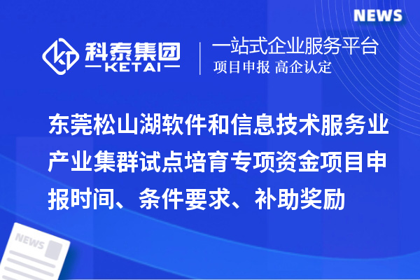東莞松山湖軟件和信息技術(shù)服務(wù)業(yè)產(chǎn)業(yè)集群試點培育專項資金項目申報時間、條件要求、補助獎勵
