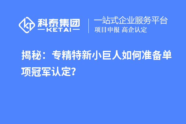 揭秘：專精特新小巨人如何準備單項冠軍認定？