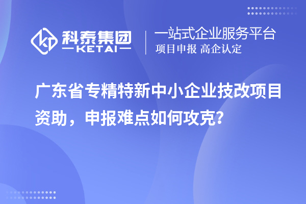 廣東省專精特新中小企業(yè)技改項目資助，申報難點如何攻克？