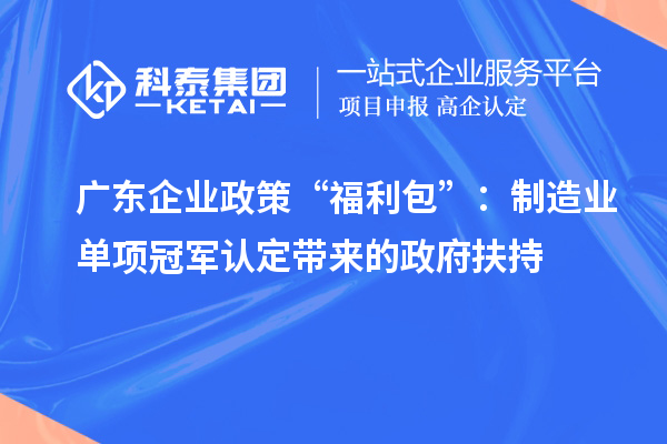 廣東企業(yè)政策“福利包”：制造業(yè)單項(xiàng)冠軍認(rèn)定帶來的政府扶持