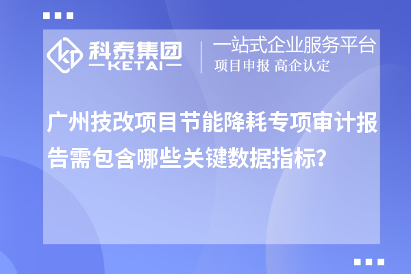 廣州技改項目節(jié)能降耗專項審計報告需包含哪些關(guān)鍵數(shù)據(jù)指標？