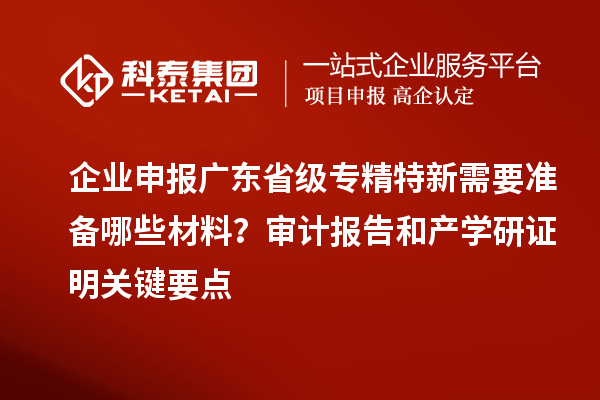 企業(yè)申報(bào)廣東省級專精特新需要準(zhǔn)備哪些材料？審計(jì)報(bào)告和產(chǎn)學(xué)研證明關(guān)鍵要點(diǎn)