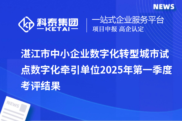 湛江市中小企業(yè)數(shù)字化轉(zhuǎn)型城市試點(diǎn)數(shù)字化牽引單位2025年第一季度考評結(jié)果